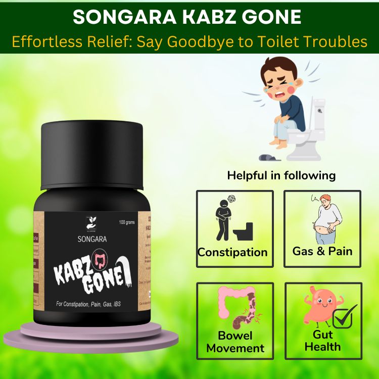 Songara Ayurvedic Gastro Care for Piles, Constipation, Gas, Acidity, Fissure: Kabz Gone & Vijay Churna (Pack of 2)