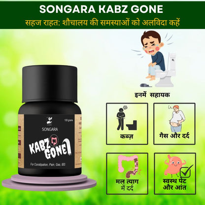 Songara Ayurvedic Gastro Care for Piles, Constipation, Gas, Acidity, Fissure: Kabz Gone & Vijay Churna (Pack of 2)