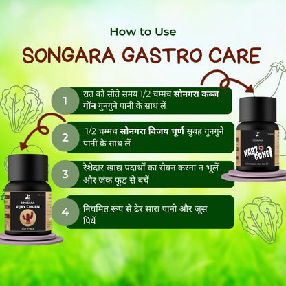 Songara Ayurvedic Gastro Care for Piles, Constipation, Gas, Acidity, Fissure: Kabz Gone & Vijay Churna (Pack of 2)